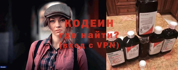 молекула духа Вяземский