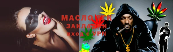 молекула духа Вяземский