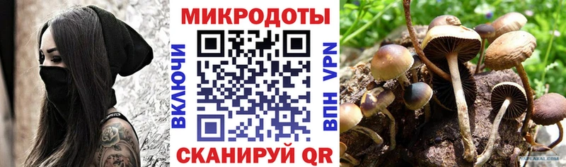 Купить где  Протвино  Галлюциногенные грибы прущие грибы 